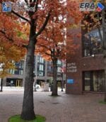 Seattle Colleges